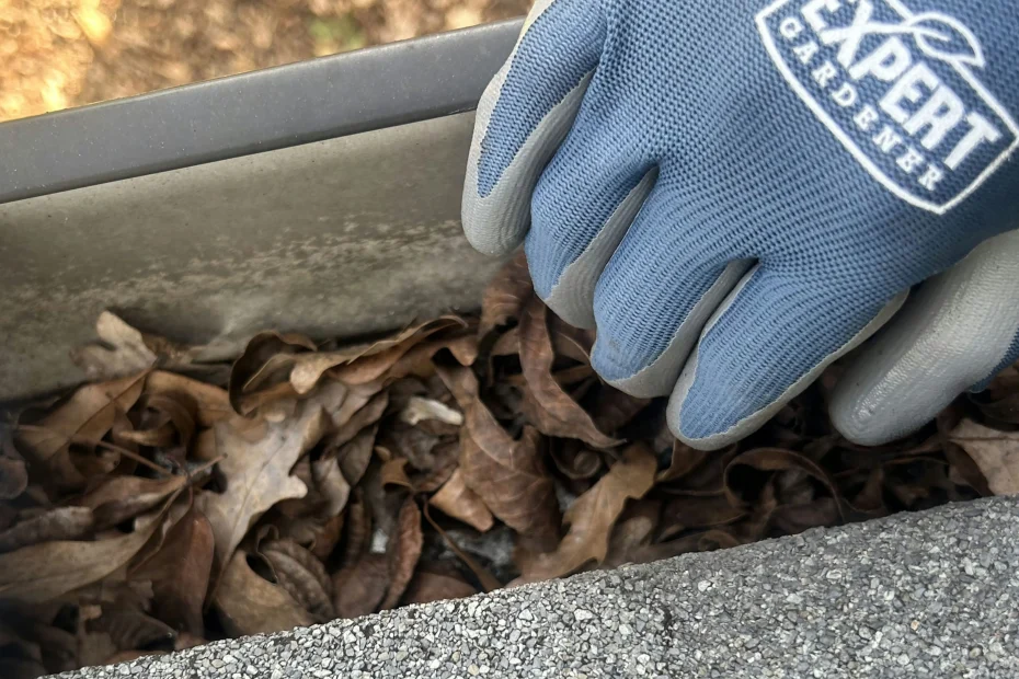 Gutter Cleaning Norcross