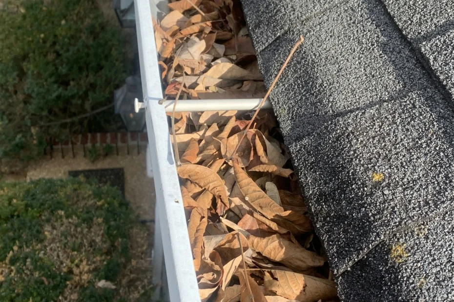 Gutter Cleaning Norcross